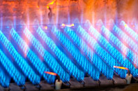 Skeffling gas fired boilers